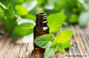 Toronto peppermint pain relieving benefits