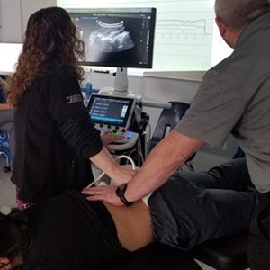 picture Toronto chiropractic ultrasound imaging of spinal vertebrae during treatment