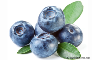 Toronto chiropractic and nutritious blueberries